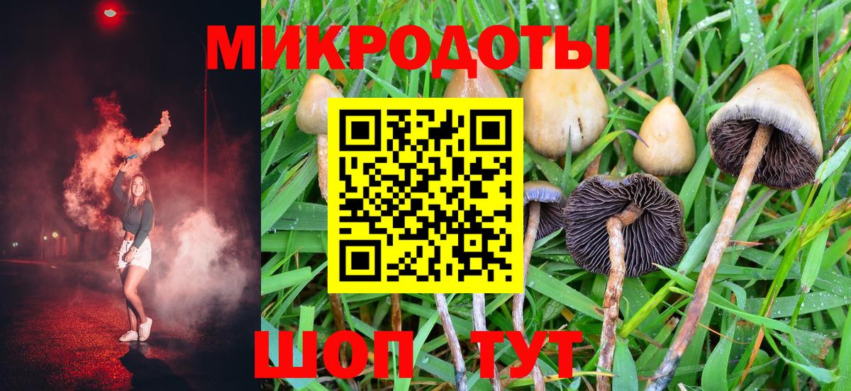 Псилоцибиновые грибы GOLDEN TEACHER Ульяновск